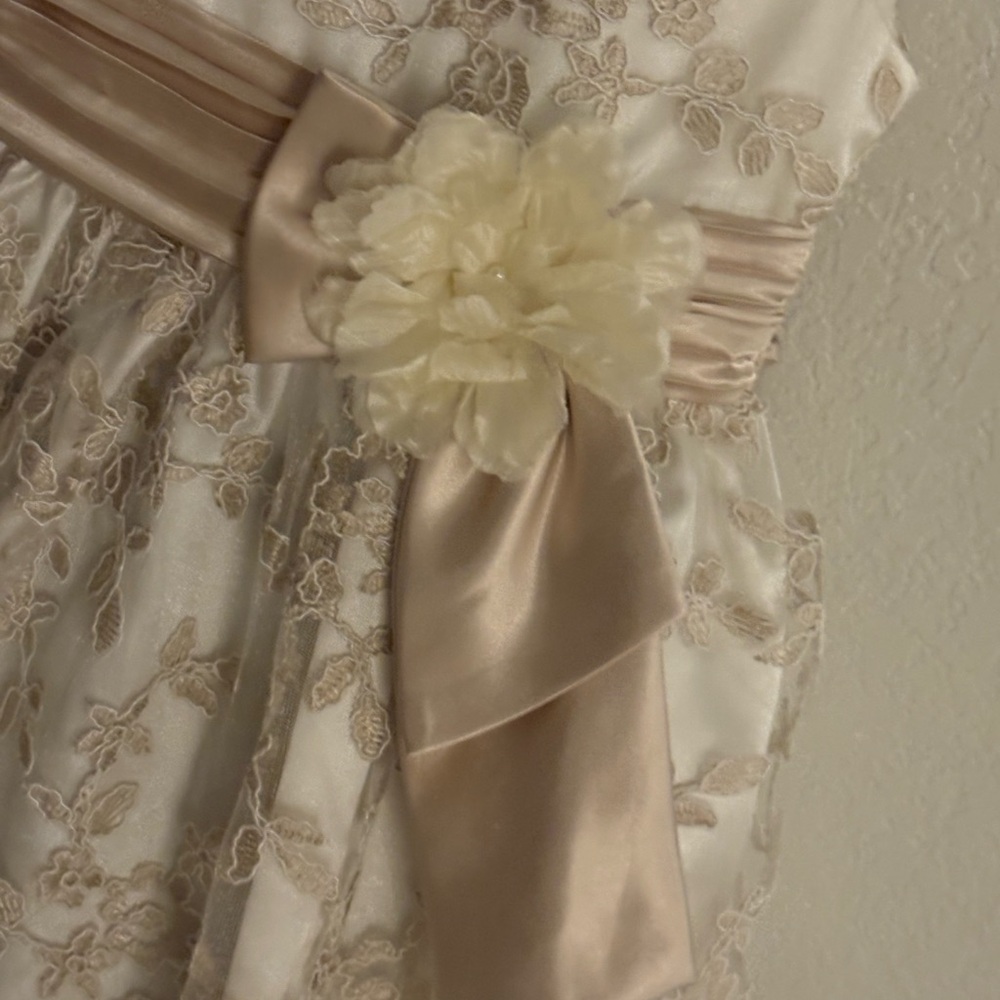 A Girls Elegant Dress